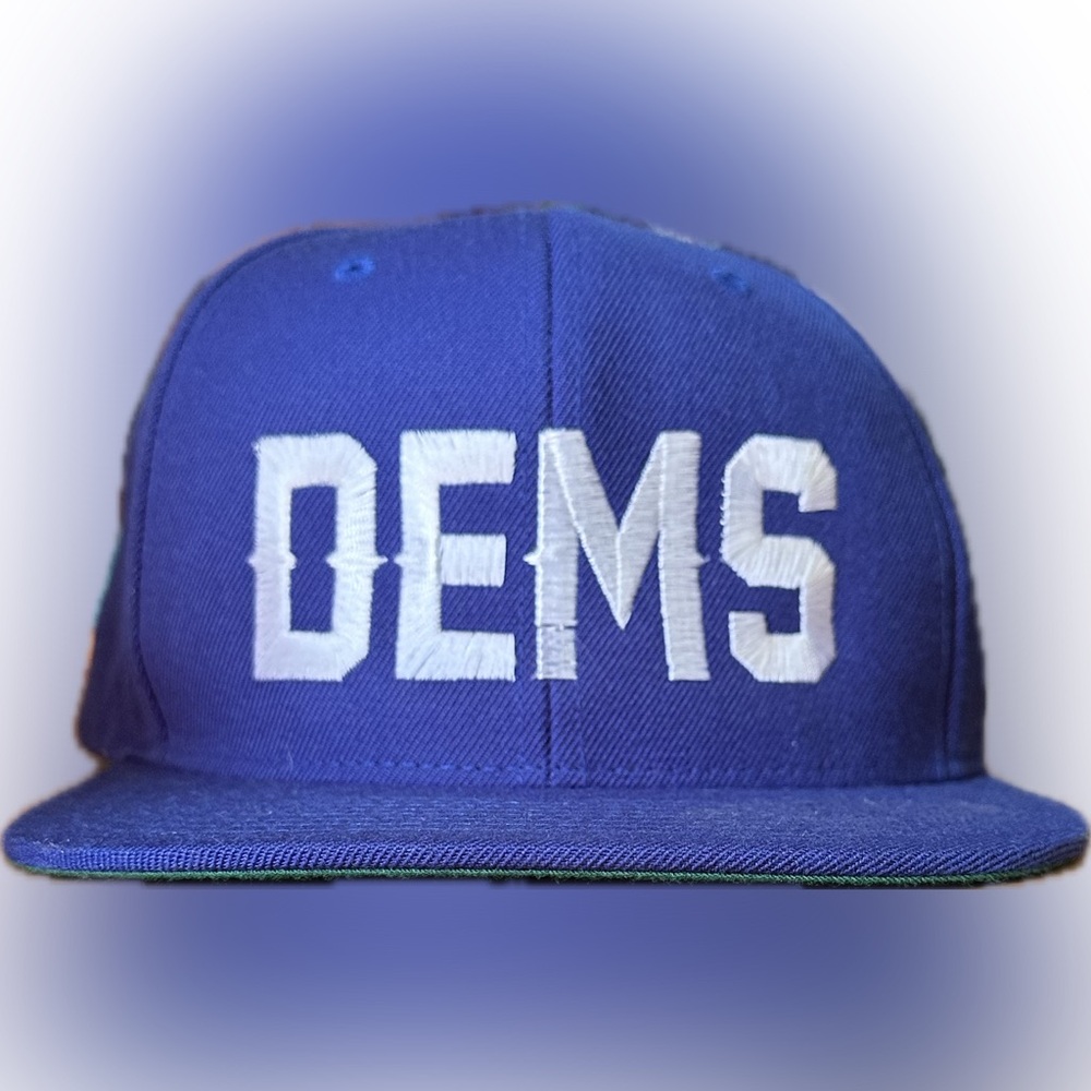 DEMS Blue Snapback Hat